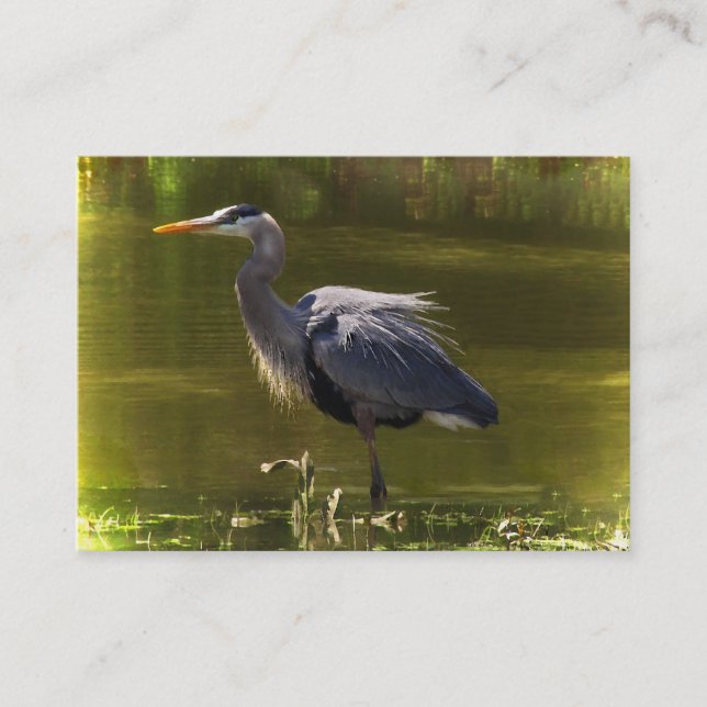 Carte De Visite ATC du Grand Héron Bleu (Devant)