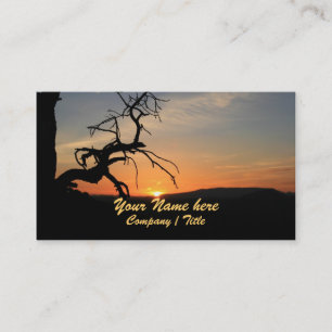 Carte De Visite Atteinte pour le Sun