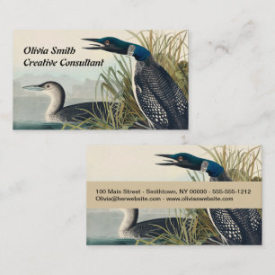 Carte De Visite Audubon Bird Loon Diver Classic