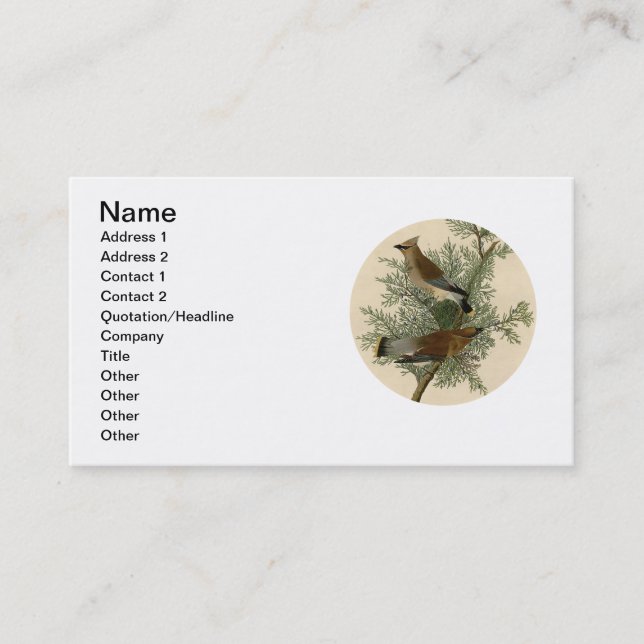 Carte De Visite Audubon Cèdre cire oiseau (Devant)