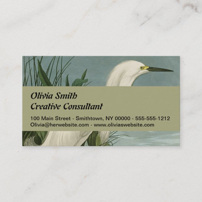 Carte De Visite Audubon Héron de neige Oiseaux d'aigrettes blanche (Devant)