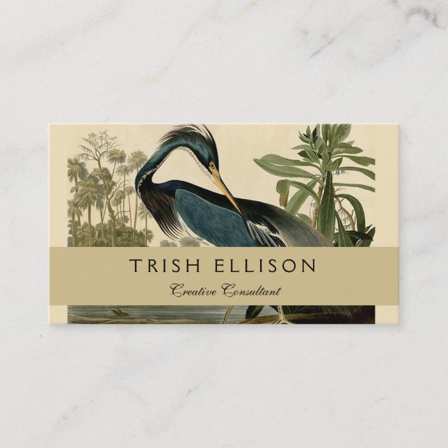 Carte De Visite Audubon Louisiana Heron Birds America Art (Devant)