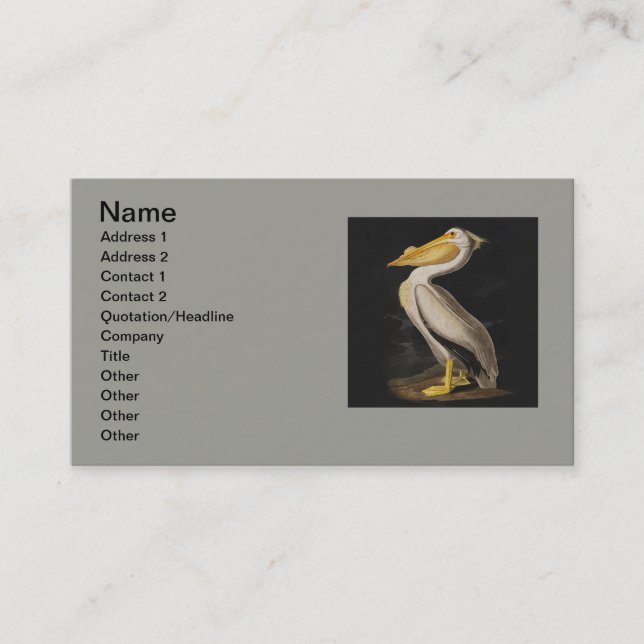 Carte De Visite Audubon White Pelican Bird Amérique (Devant)
