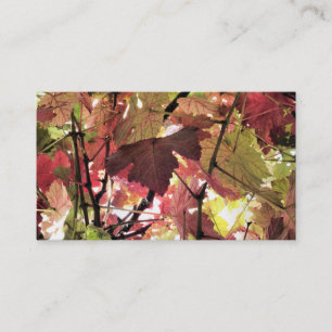 CARTE DE VISITE AUTOMNE