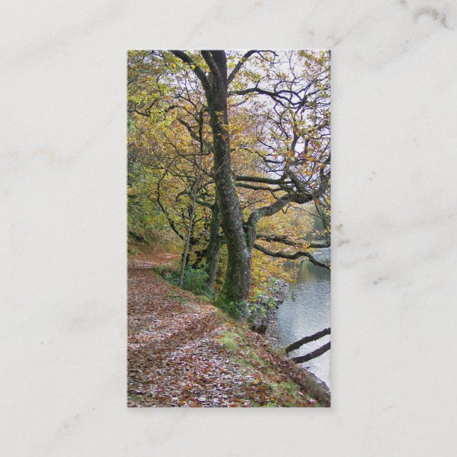 CARTE DE VISITE AUTOMNE (Devant)