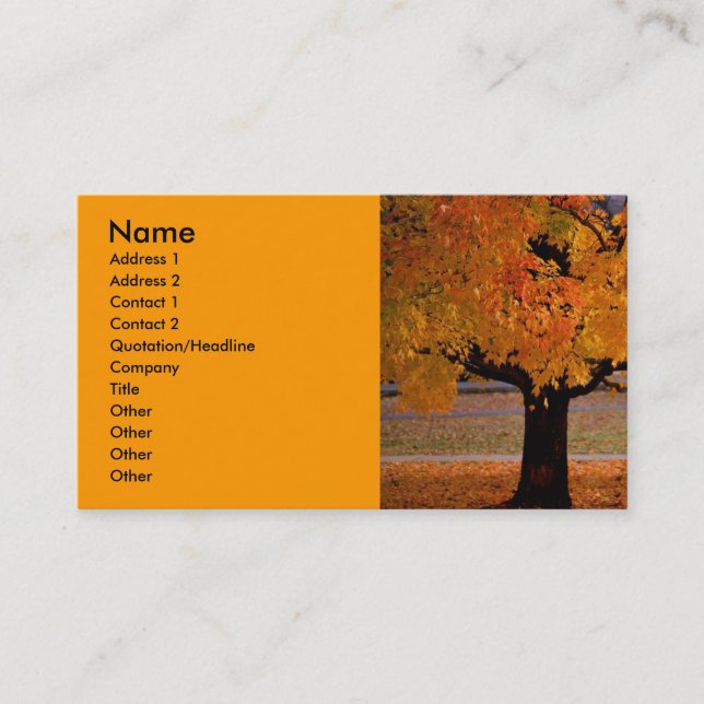 Carte De Visite automne (1), nom, adresse 1, adresse 2, contact... (Devant)
