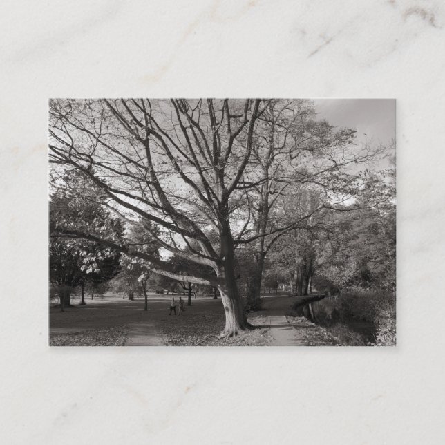 Carte De Visite Automne dans le parc (Devant)