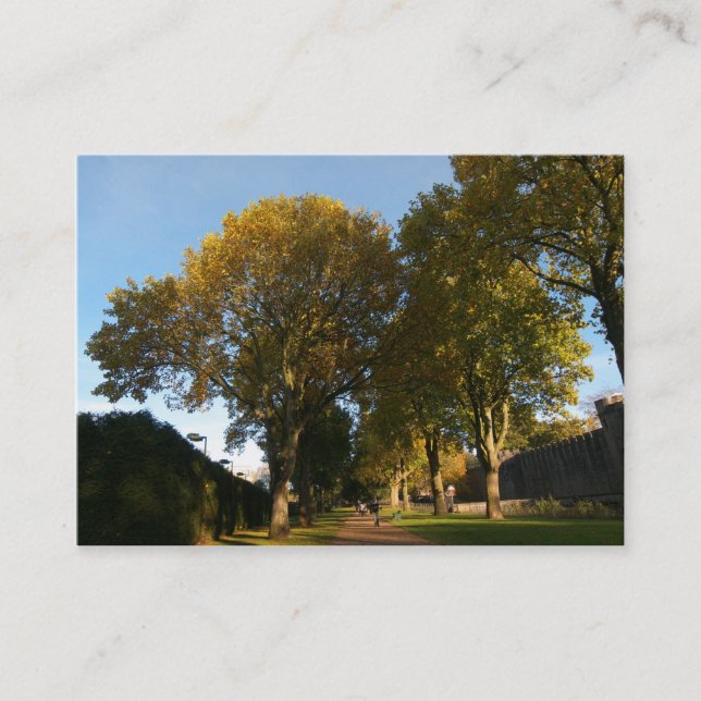 Carte De Visite Automne dans le parc (Devant)