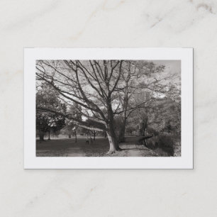 Carte De Visite Automne dans le parc (frontière)