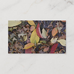 Carte De Visite Automne Feuillage Automne Feuilles Nature Arbre Ph