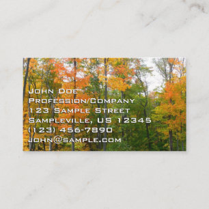 Carte De Visite Automne Maple Trees Automne Photographie de la nat