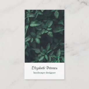 Carte de visite avec arrière - plan de fleurs