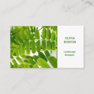 Carte de visite avec arrière - plan naturel.