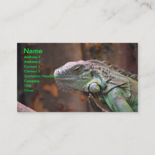 Carte de visite avec Lizard coloré Iguana