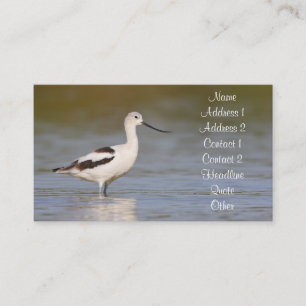 Carte De Visite Avocet américain blanc