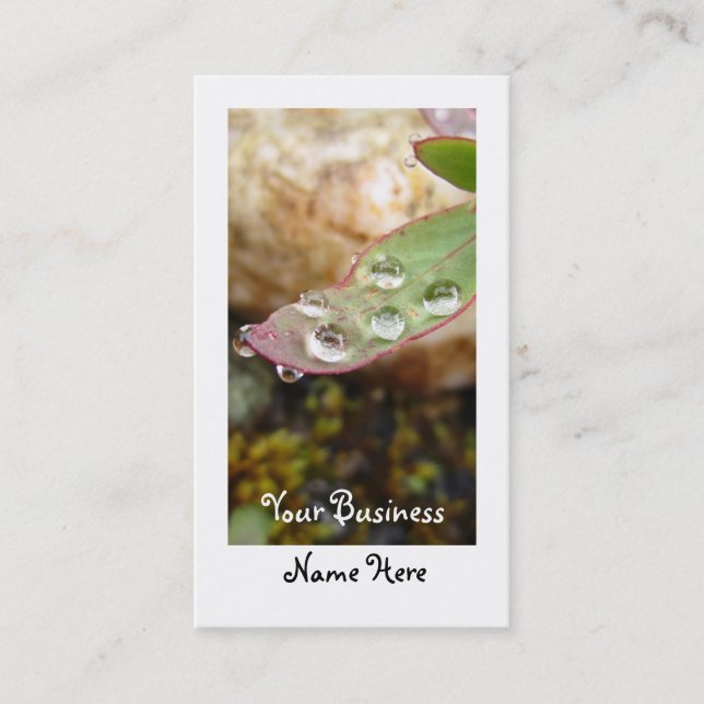 Carte De Visite Baisses de pluie sur la feuille (Devant)