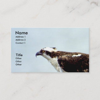 Carte De Visite Balbuzard
