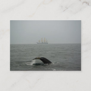Carte De Visite Baleine à bosse et gros navire 2 Mini impression