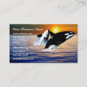 Carte De Visite Baleines au coucher du soleil