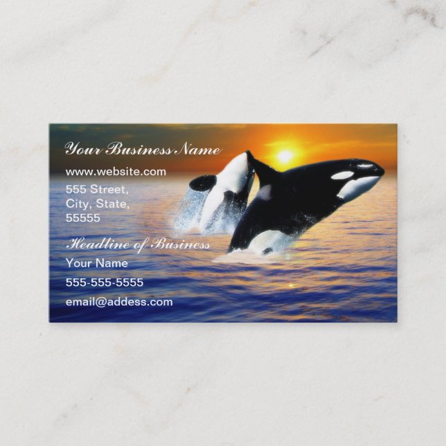 Carte De Visite Baleines au coucher du soleil (Devant)