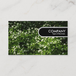 Carte De Visite Balise Arête Arrondie - Ail Vent