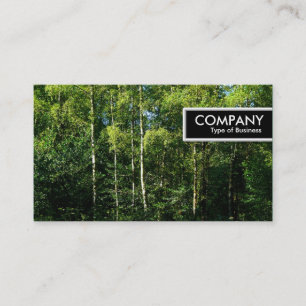 Carte De Visite Balise de bord - Arbres à bouleau d'argent