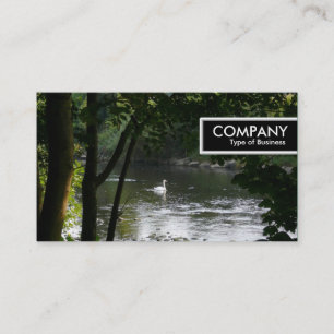 Carte De Visite Balise de bord - Cygne sur la rivière