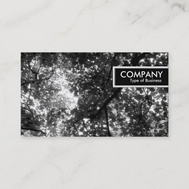 Carte De Visite Balise de bord - Dans les arbres (Devant)