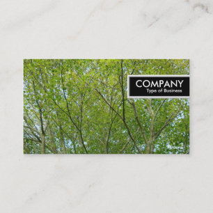 Carte De Visite Balise de bord - Érable japonais