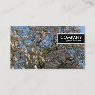 Carte De Visite Balise de bord - Magnolia Arbres en fleurs