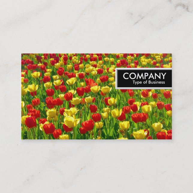 Carte De Visite Balise de bord - Mer des tulipes (Devant)