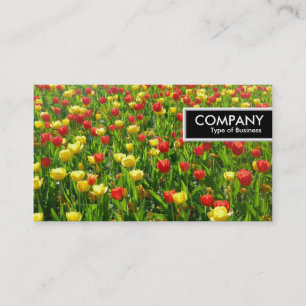 Carte De Visite Balise de bord - Mer des Tulipes II