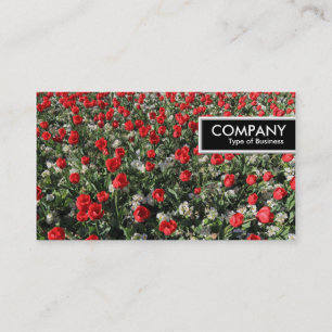 Carte De Visite Balise de bord - Tulipes rouges et primeurs
