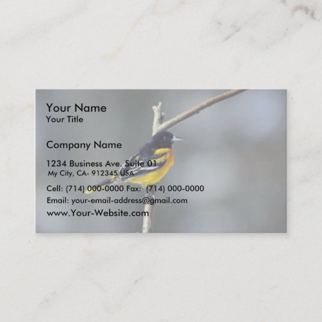 Carte De Visite Baltimore Oriole (Devant)