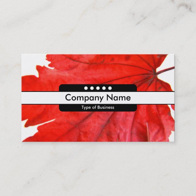 Carte De Visite Bande centrale 5 points (Devant)