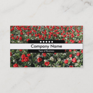 Carte De Visite Bande centrale 5 Spots - Tulipes rouges et Primros