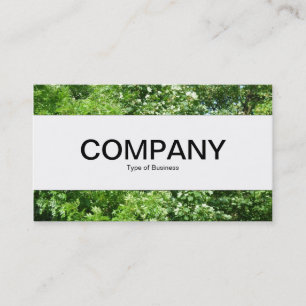 Carte De Visite Bande Centre - Summer Breeze