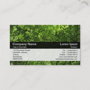 Carte De Visite Bande de couleurs - Noir - Canopée de bois