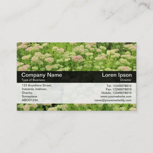 Carte De Visite Bande de couleurs - Noir - Sedum (Devant)