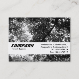 Carte De Visite Bande de texture - Dans les arbres