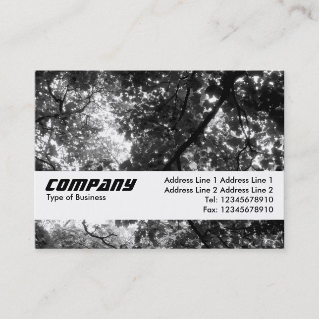 Carte De Visite Bande de texture - Dans les arbres (Devant)
