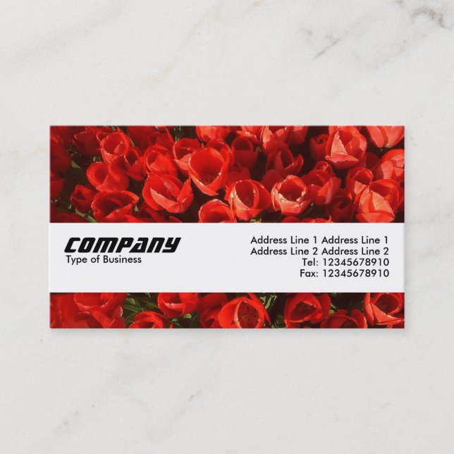 Carte De Visite Bande de texture - Tulipes (Devant)