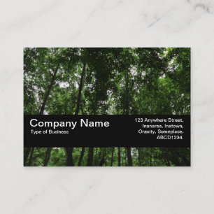 Carte De Visite Bande de texture V2 - Canopée de bois 02