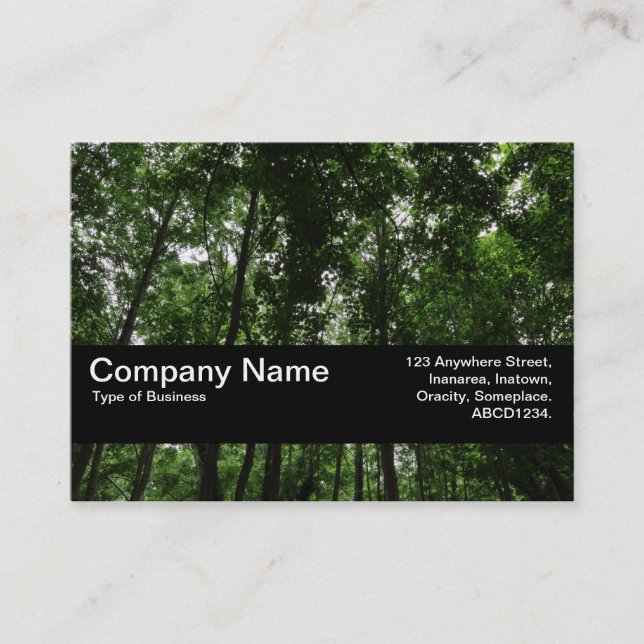 Carte De Visite Bande de texture V2 - Canopée de bois 02 (Devant)