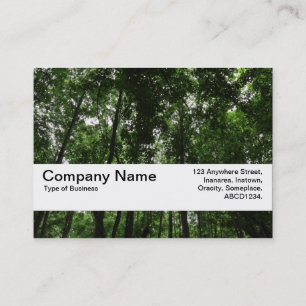 Carte De Visite Bande de texture V2 - Canopée de bois 02