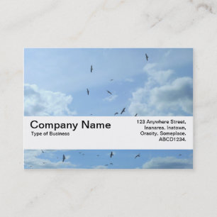 Carte De Visite Bande de texture V2 - Ciel et mouettes