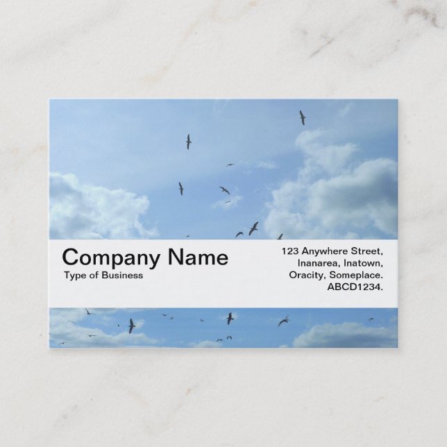 Carte De Visite Bande de texture V2 - Ciel et mouettes (Devant)