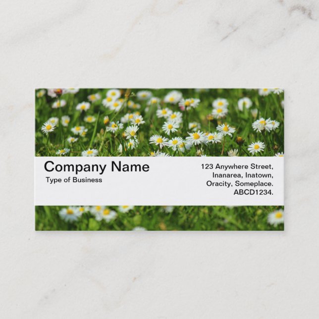 Carte De Visite Bande de texture V2 - Pré de marguerite (Devant)