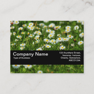 Carte De Visite Bande de texture V2 - Pré de marguerite