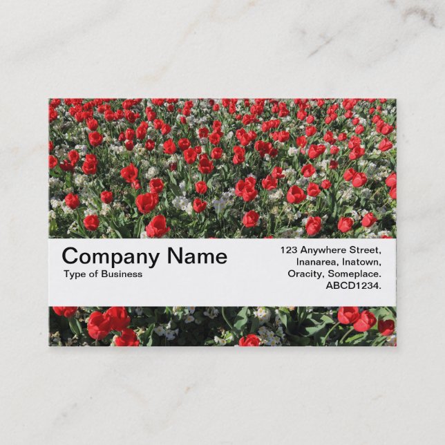 Carte De Visite Bande de texture V2 - Tulipes rouges et primates (Devant)
